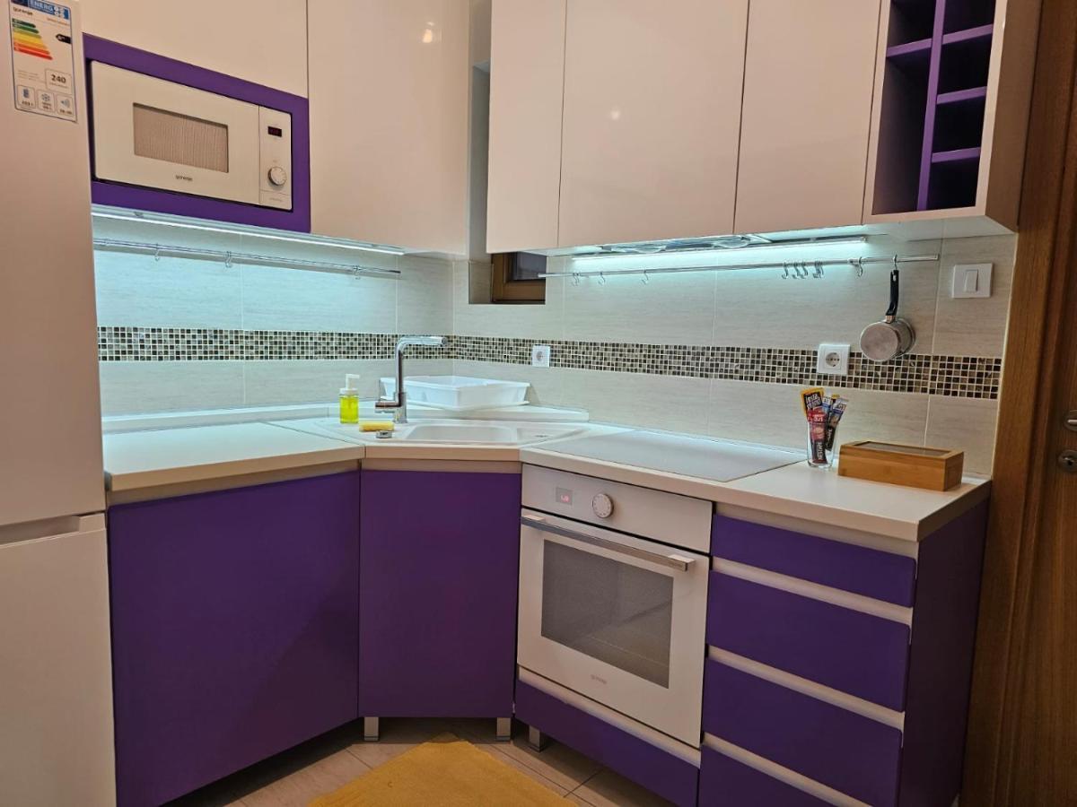 Bright Side Apartment Νόβι Σαντ Εξωτερικό φωτογραφία